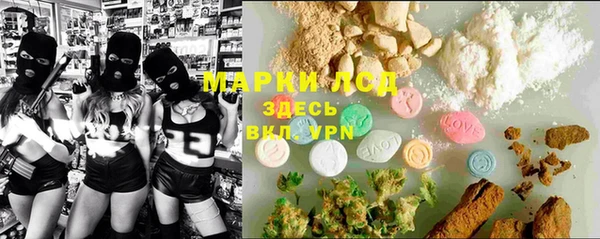 прущий лед Алзамай