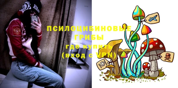 прущий лед Алзамай
