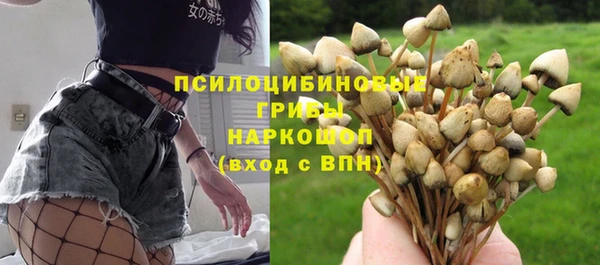 прущий лед Алзамай