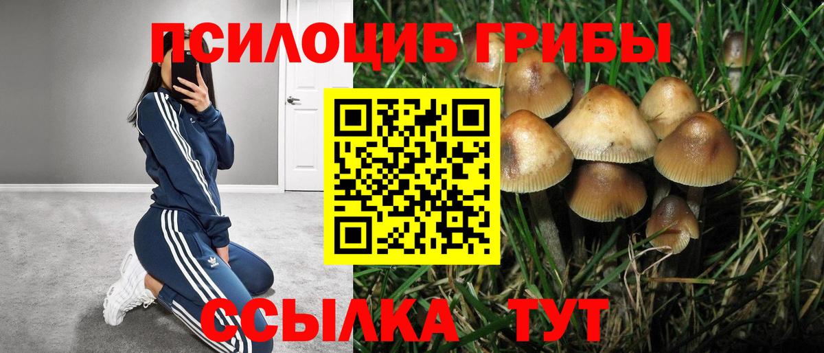 Гашиш Курган