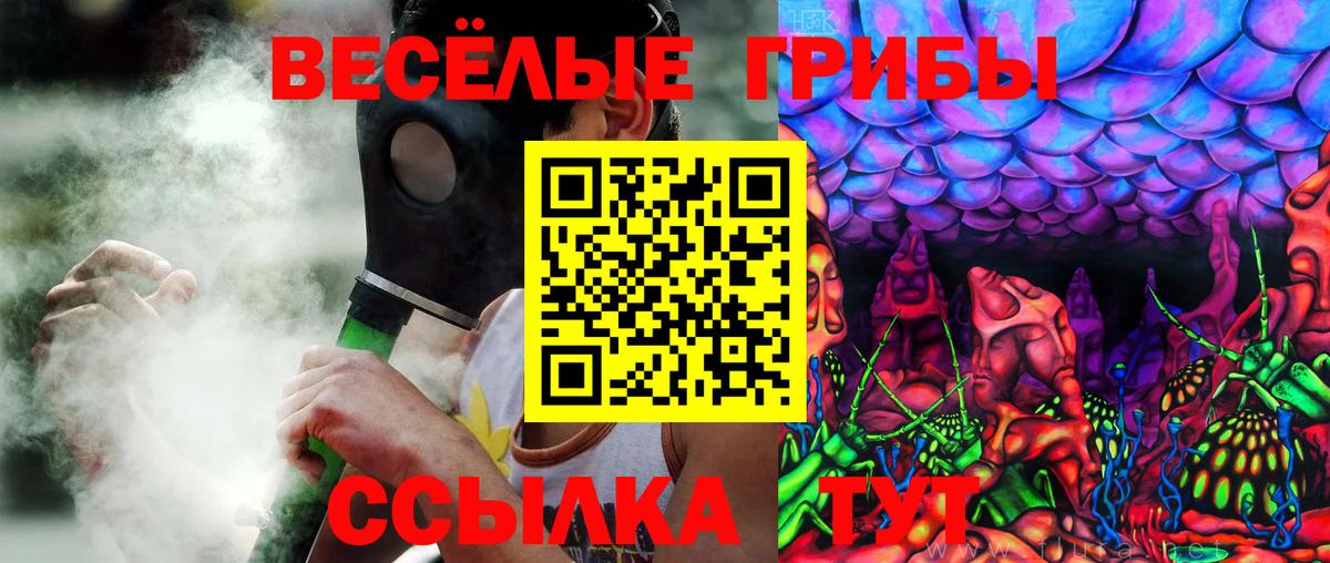 Курган  Галлюциногенные грибы мухоморы  Вход с VPN 